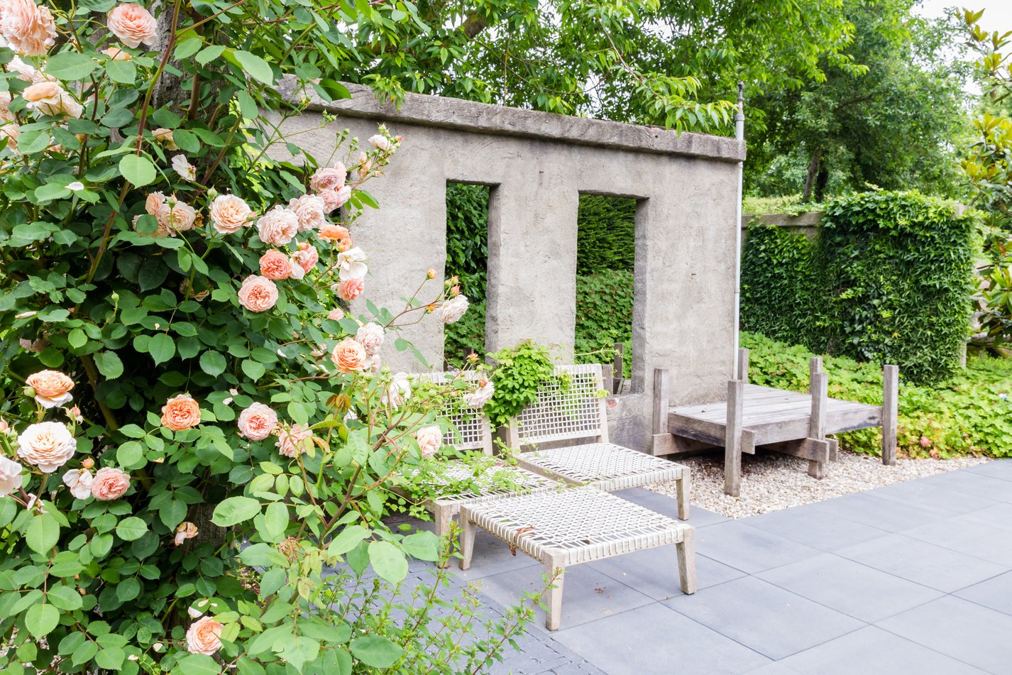 Garden Design with Concrete Wall